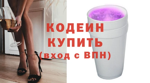сатива Новозыбков