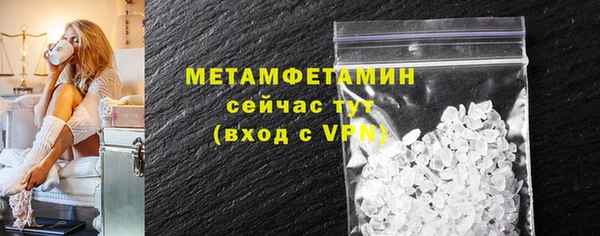 сатива Новозыбков